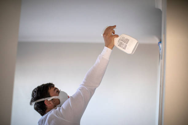 Best Attic Mold Remediation in Coldstream, KY